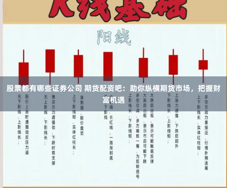 股票都有哪些证券公司 期货配资吧：助你纵横期货市场，把握财富机遇