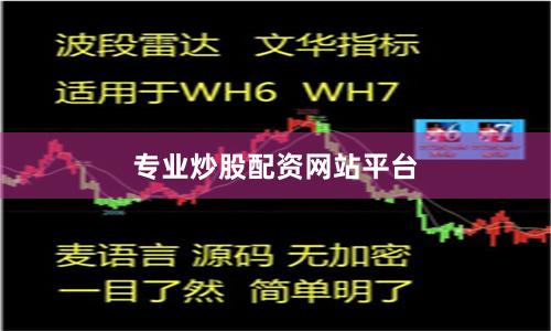 专业炒股配资网站平台