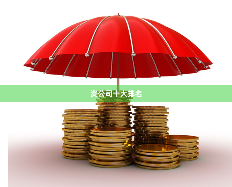 资公司十大排名